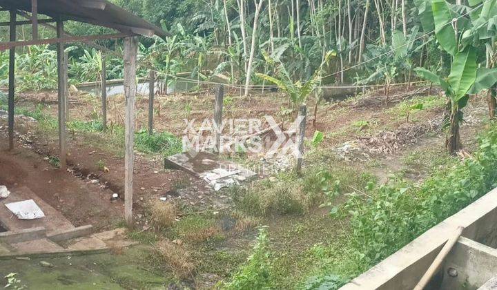 Lahan Peternakan SHM Strategis di Cepokomulyo di Kepanjen Malang 2