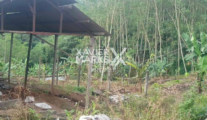 Lahan Peternakan SHM Strategis di Cepokomulyo di Kepanjen Malang 4
