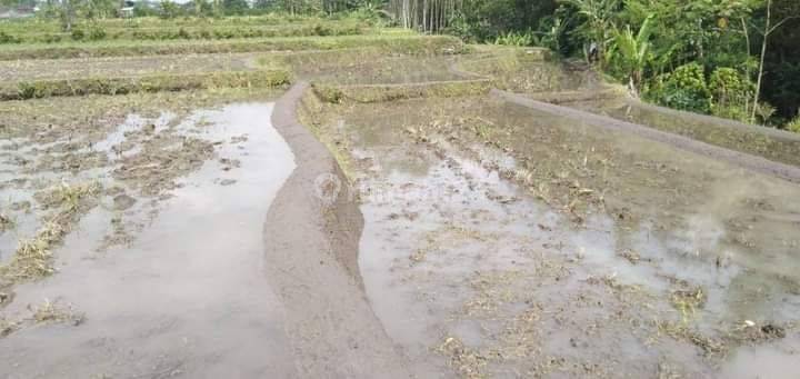 Dijual Lahan Sawah Cocok Untuk Investasi di Karangploso Malang 4