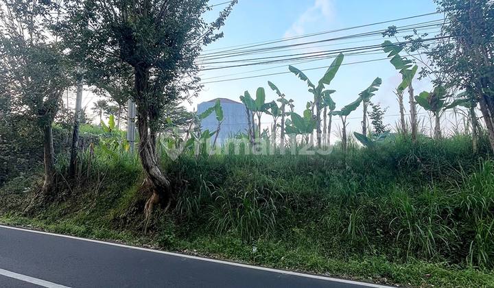 Tanah Prospektif Strategis Dekat Dengan Kampus Ub Dieng Malang Tanah Prospektif Strategis Dekat Dengan Kampus Ub Dieng Malang
