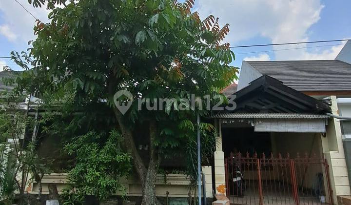Dijual Rumah Dekat Pusat Perbelanjaan Di Dirgantara Sawojajar Malang Dijual Rumah Dekat Pusat Perbelanjaan Di Dirgantara Sawojajar Malang