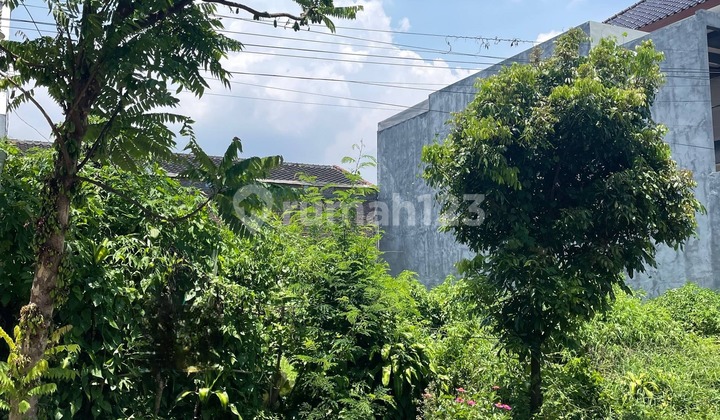 TANAH COCOK UNTUK RUKOS DEKAT UB DI BUNGA-BUNGA SUHAT MALANG TANAH COCOK UNTUK RUKOS DEKAT UB DI BUNGA-BUNGA SUHAT MALANG