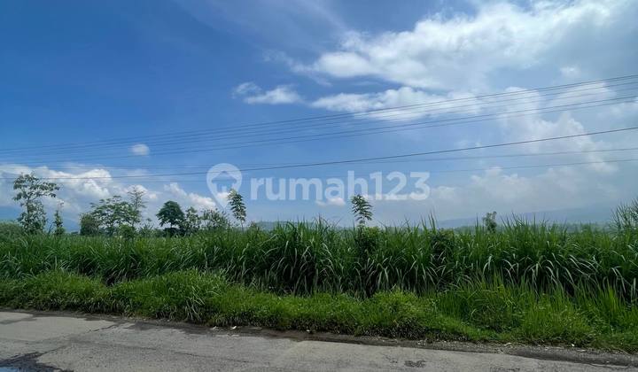 DIJUAL TANAH COCOK UNTUK KEGIATAN PERTANIAN, PETERNAKAN, DAN BUDIDAYA PERIKANAN LOKASI DEKAT BANDARA ABDUR RACHMAN SALEH