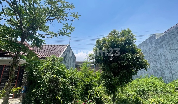 TANAH COCOK UNTUK RUKOS DEKAT UB DI BUNGA-BUNGA SUHAT MALANG TANAH COCOK UNTUK RUKOS DEKAT UB DI BUNGA-BUNGA SUHAT MALANG