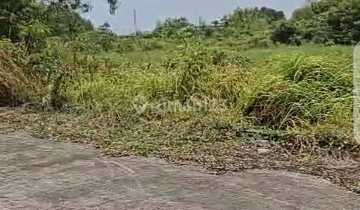 Gudang Cikande Kontrakan Luas 4100 SHM 1