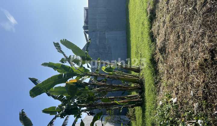 dijual kavling murah royal residence under market