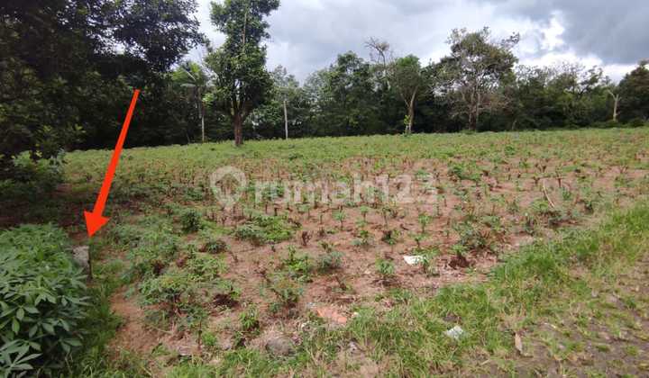 Tanah di Perum Parung Hijau