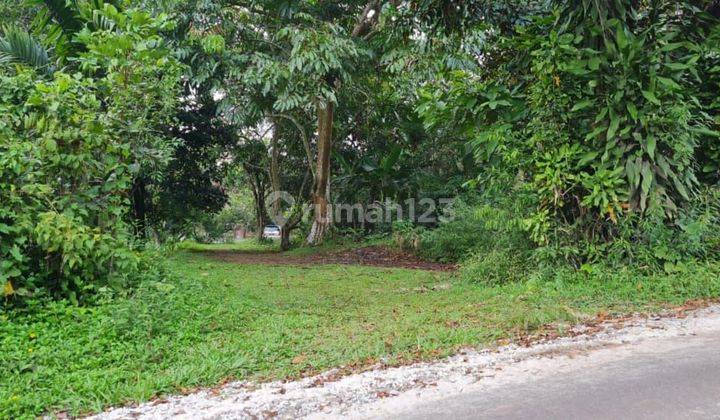 Tanah di Jonggol 10 hectare jual harga nego.  2