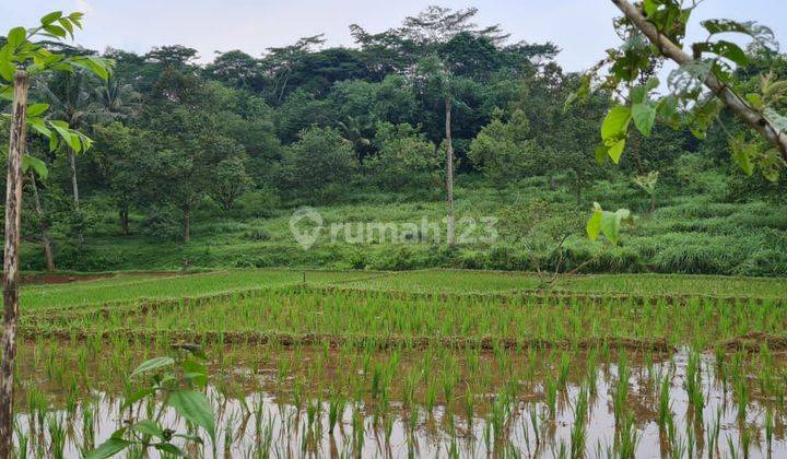 Tanah di Jonggol 10 hectare jual harga nego.  2