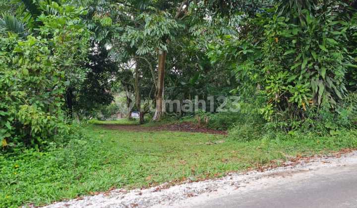 Kavling 10 Hektar di Mekarsari Lokasi Bagus. 2531