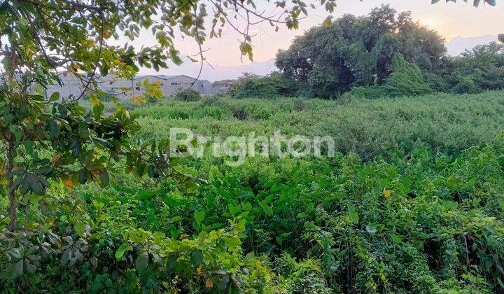 TANAH BENTUK SAWAH DI LINGKAR TIMUR 1