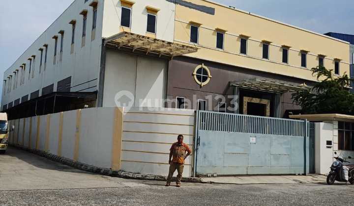 Warehouse Ready to Use Cheap Price Elang Laut