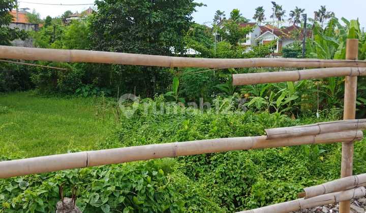 Tanah Datar Tegal Cupek Umalas Kuta Selatan, Dekat ke Seminyak