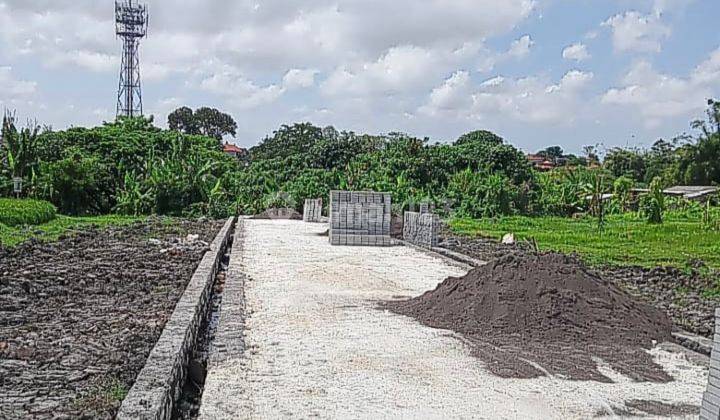 Tanah Datar Siap Bangun View Sawah Di Kerobokan Kaja 2