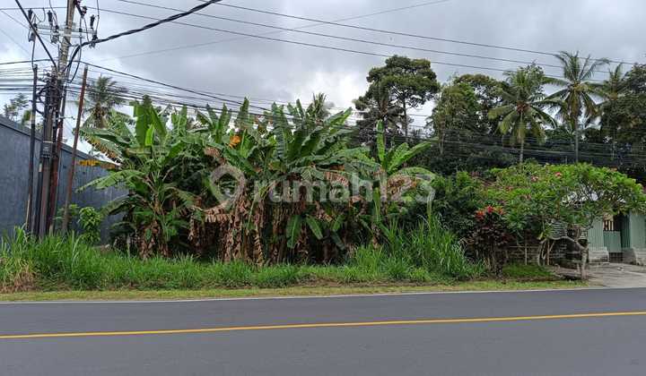 Affordable Land Jl Werdy Bhuana Mengwi Bali, Strategic Location