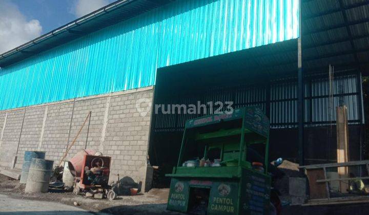 Dkontrakkan Gudang &Kantor 3 Lantai Di Padma Penatih Denpasar  1