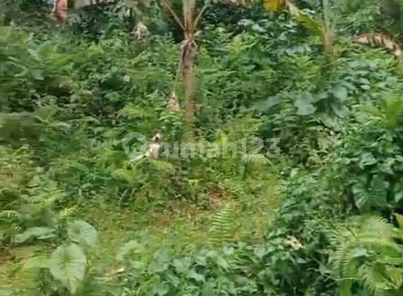Tanah Datar View Jungle Keliki Tegalalang Gianyar Bali