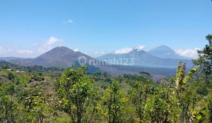 Lahan Premium Area Sejuk View Gunung Di Kintamani Bali 1