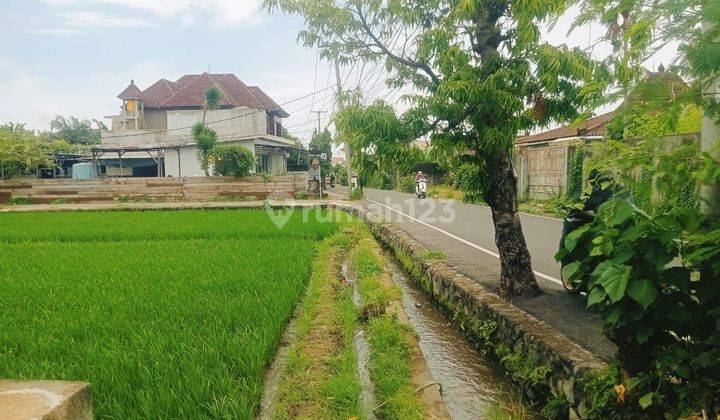 Tanah Di Jalan Utama Gunung Patas Denpasar 17jt/are 2