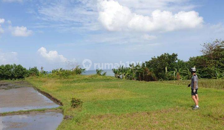 Tanah 30 Are Pinggir Pantai Pemandangan Sawah Dan Laut Di Tabanan 1