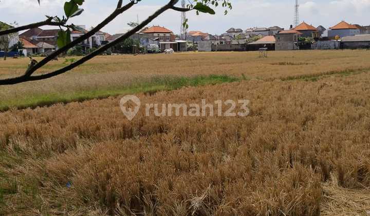 Tanah Murah & Langka Jl Utama Pulau Moyo Pedungan Denpasar Bali