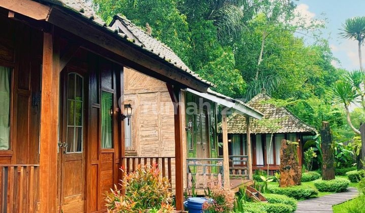 VILLA AGROWISATA DAN KEBUN STRAWBERY DI PENGOTAN KINTAMANI BANGLI 1