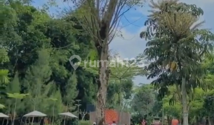 VILLA AGROWISATA DAN KEBUN STRAWBERY DI PENGOTAN KINTAMANI BANGLI 9