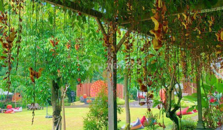 VILLA AGROWISATA DAN KEBUN STRAWBERY DI PENGOTAN KINTAMANI BANGLI 10