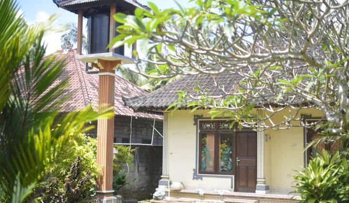 Rumah Murah Di Buahan Tabanan Dekat Kota Tabanan Bali 2