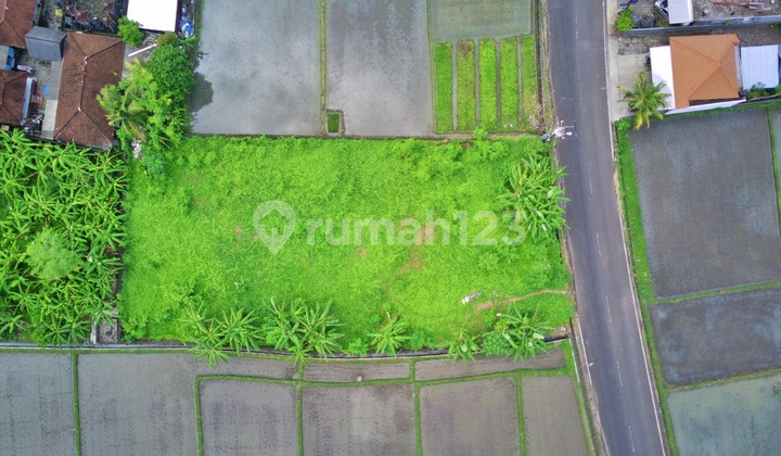 Tanah Premium Dekat ke Pantai Pangkung Tibah Kediri Tabanan Bali