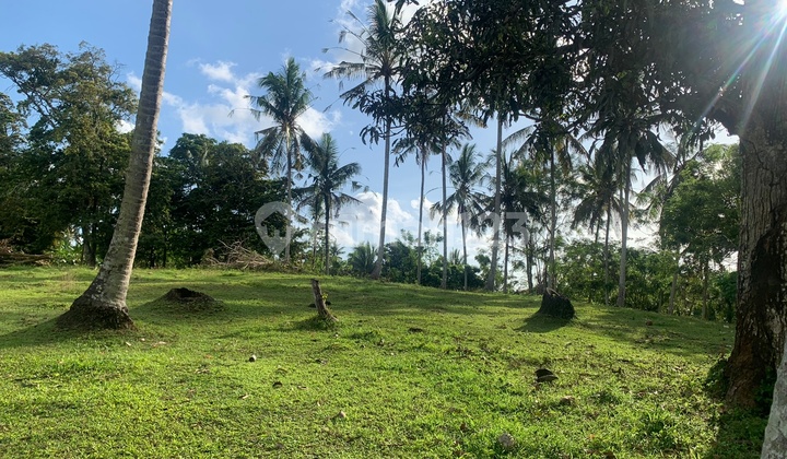 Tanah Kebun Zona Kuning Dekat Pantai Soka Selemadeg Tabanan Bali