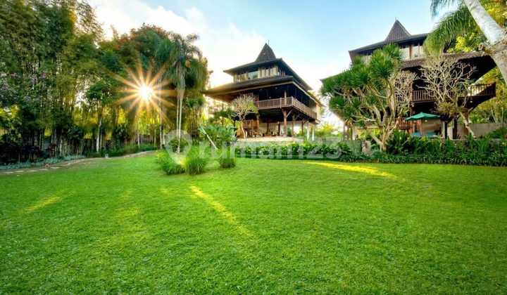 Villa Mewah Classic Dekat Payangan Resort Ubud View Hutan Villa Mewah Classic Dekat Payangan Resort Ubud View Hutan