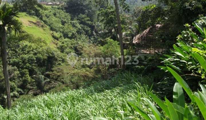 Tanah Strategis Zona Kuning Residential Ubud Gianyar Bali Tanah Strategis Zona Kuning Residential Ubud Gianyar Bali