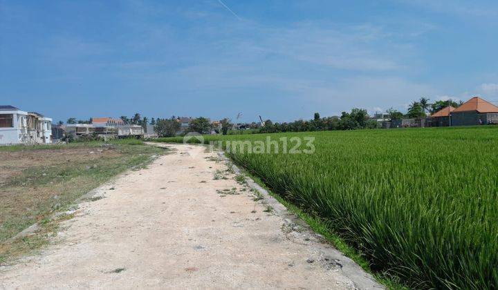 Land For Lease Full View Rice Fields Munggu Tabanan Bali 1