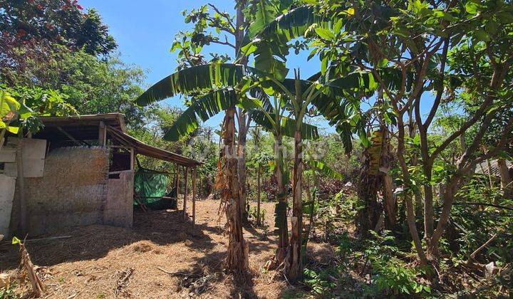 Lahan 10 Are Siap Bangun Dekat Ke Jalan Utama Jimbaran Bali 1