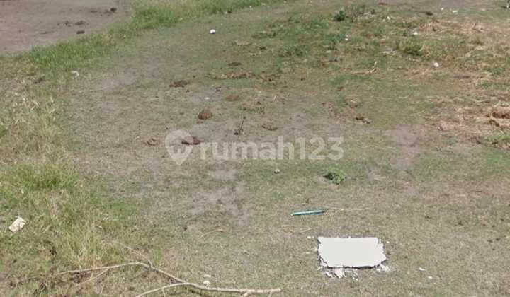 Tanau Premium & Strategic Near Tukad Badung Close to Denpasar City Center