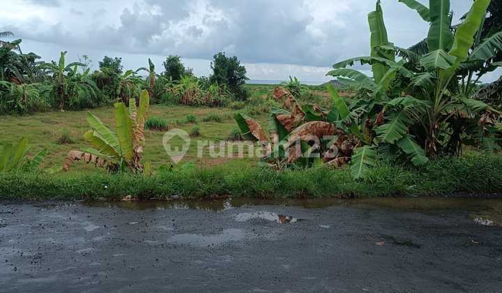 Tanah Cocok untuk Villa Dekat Pantai Padang Galak Denpasar Timur Tanah Cocok untuk Villa Dekat Pantai Padang Galak Denpasar Timur