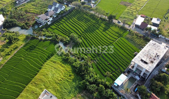 Tanah Datar Persawahan Pantai Seseh Munggu Bali, Zona Pink