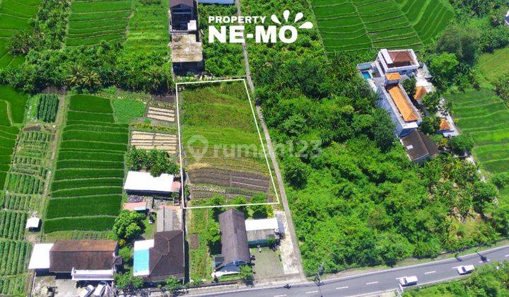 Tumbak Bayuh Pererenan - Tanah 13,15 Are View Sawah Kawasan Villa 2