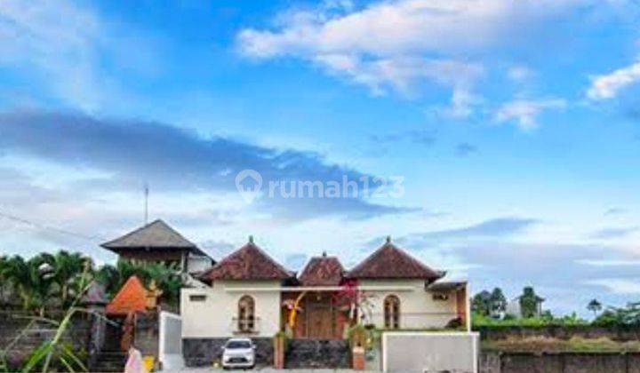 Villa View Sawah Dijual Dan Disewakan Di Canggu Bali 2