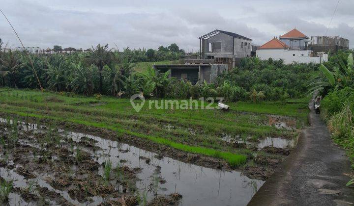 Tanah 4 Are Siap Bangun View Sawah Di Pererenan Bali  1