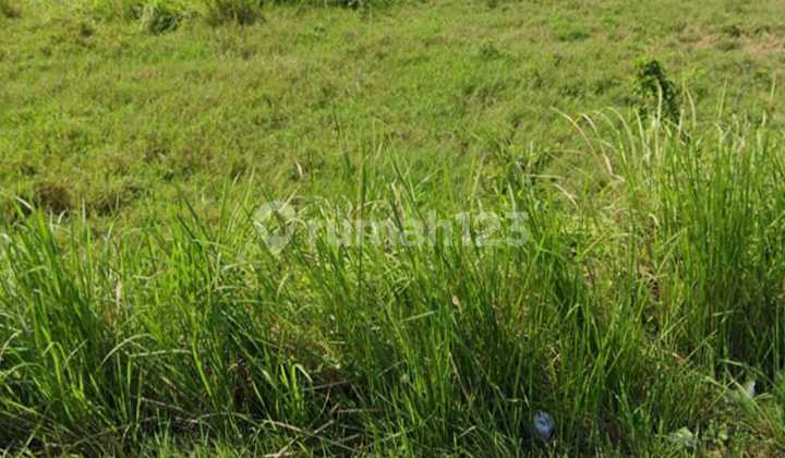 Tanah 8,4 Are Jalan Tukad Badung Renon Denpasar Selatan