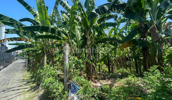 Batu Belig Kerobokan - Tanah Kecil 315m² Lingkungan Pariwisata 1