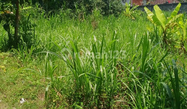 Tanah Datar Zona Kuning Tegal Sari Labuan Sait Pecatu, Bali