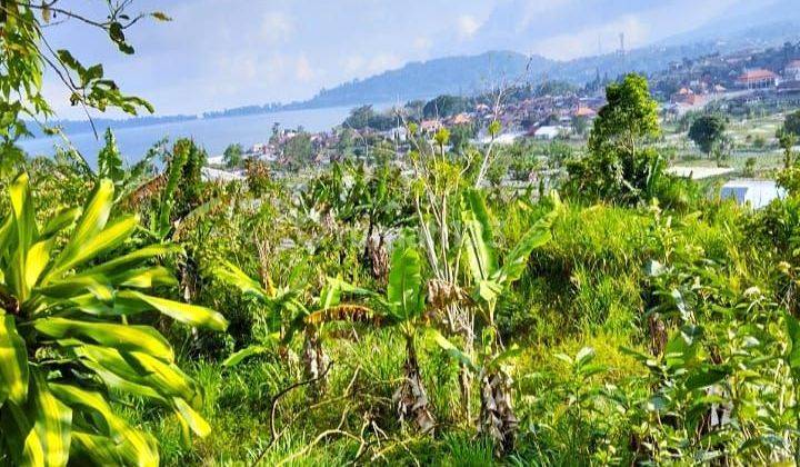 Dijual Tanah 56are View Danau Beratan Candikuning Tabanan Bali 2