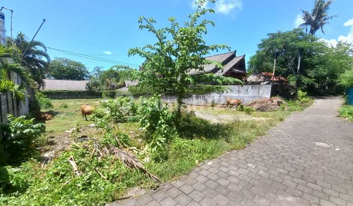 Tanah Komersil 13,5 Are Tiyingtutul Pererenan Mengwi Zona Kuning Tanah Komersil 13,5 Are Tiyingtutul Pererenan Mengwi Zona Kuning