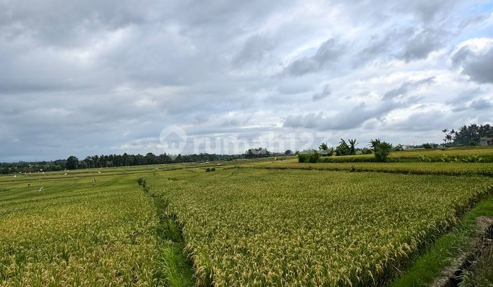 Strategic Land Location in Kedungu Tampih Near Beach Glamping, Bali Strategic Land Location in Kedungu Tampih Near Beach Glamping, Bali