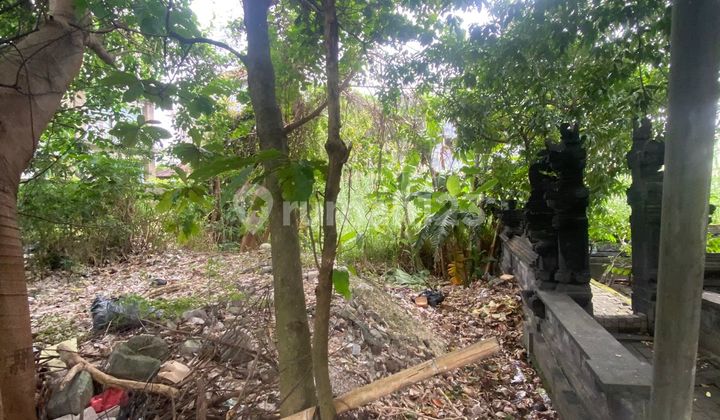 Cheap Small Land Link Villa Guest House Dewi Sri Legian Bali Cheap Small Land Link Villa Guest House Dewi Sri Legian Bali