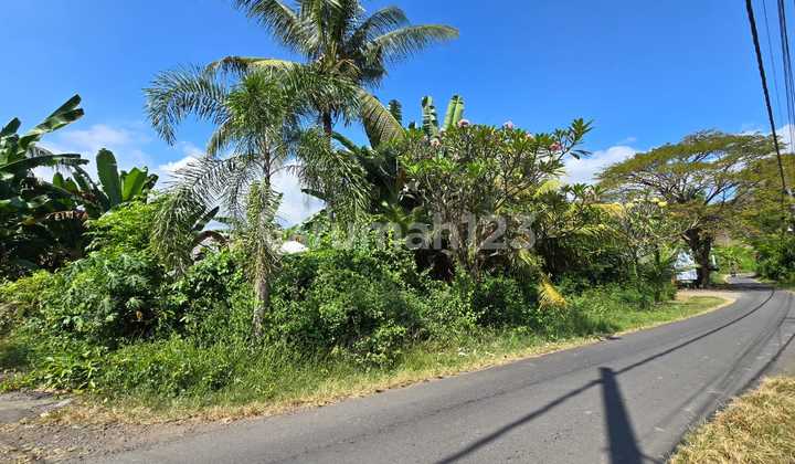 Tanah Murah Dan Strategis Desa Kaliasem Lovina Buleleng Bali