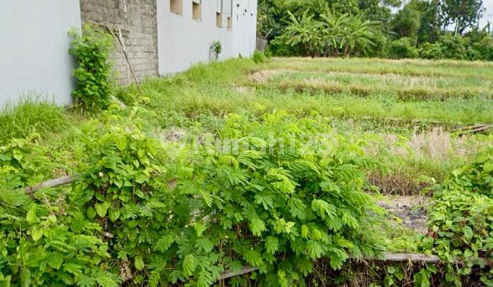 Tanah Datar Jalan Induk Bajataki Gatsu Barat Denpasar